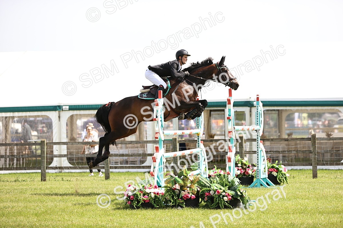 SBM_03153 - Class 201 - British Horse Feedds Speedi Beet HOYS Grade C