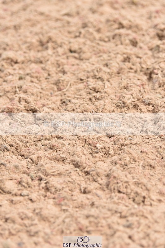 230812A-123010-09244 - Cls 27 85cm Amateur Qualifier