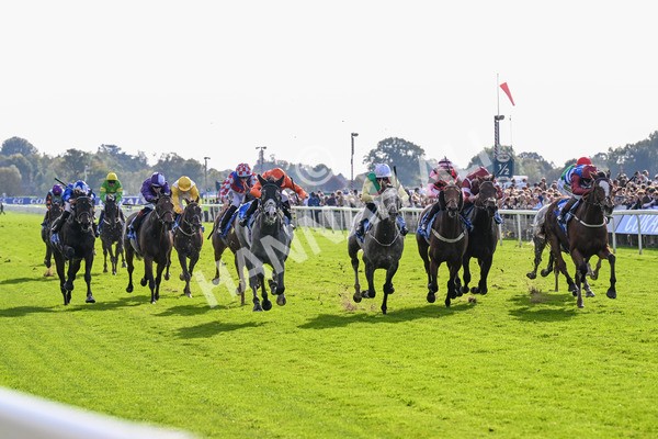 111025-Race 2-Grey Cuban-0251 - Race 2 Coral 'Pipped At The Post' Handicap at York