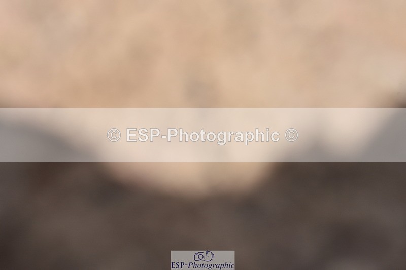 240706A-160312-04095 - Cls 4D Snr Elementary