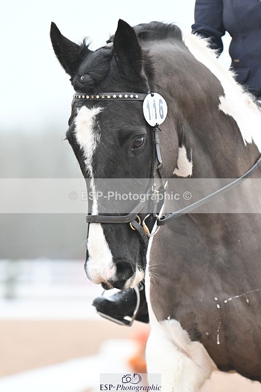 240217A-085721-00232 - 116-Polly.Tucker-Chaceley.Bobby