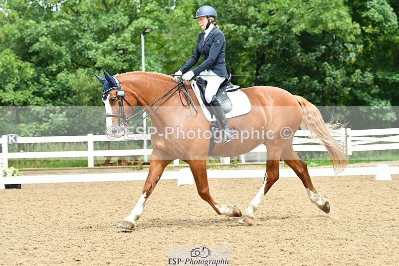 230701A-121941-05710 - Cls 7 Elementary 45