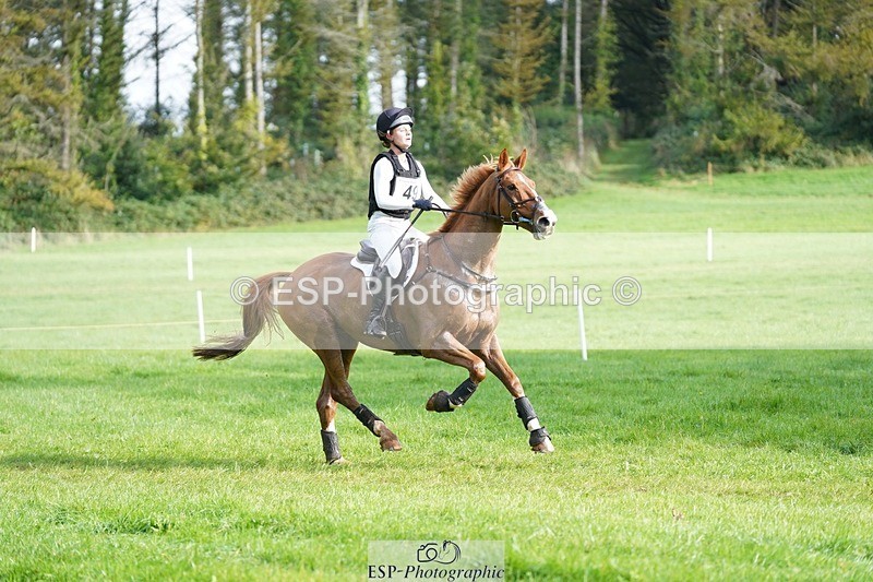 231020-114016-06962 - 049-AUGUSTUS.IMPERIOUS-Ines.Mitchell-XC