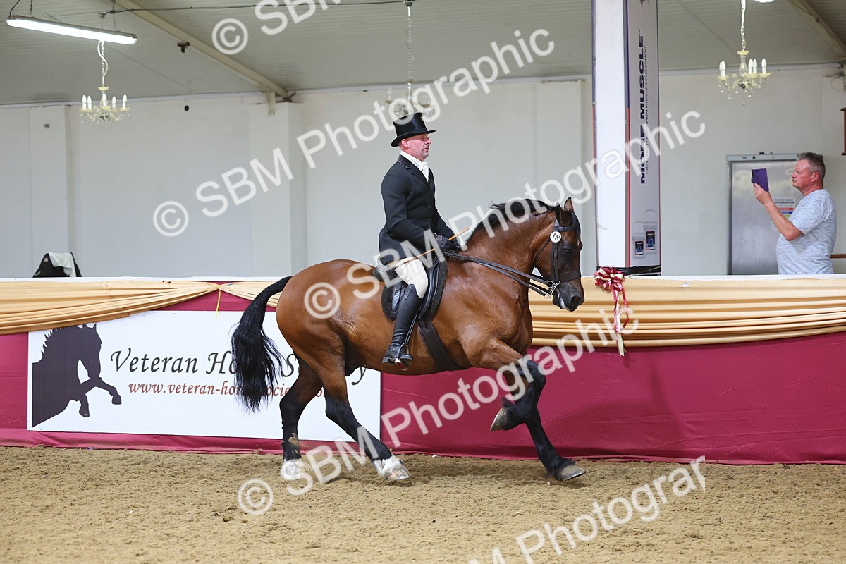 SBM_24933 - Supreme Final - Ridden Champion