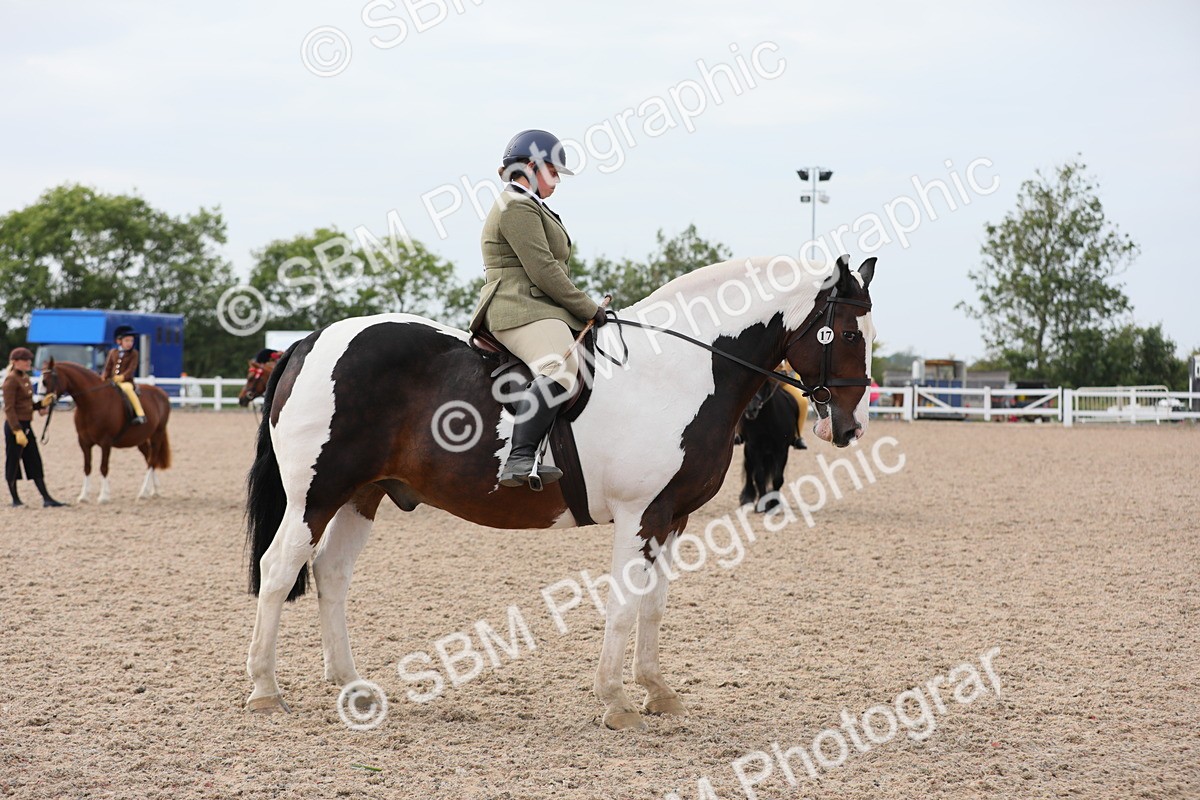 SBM_16946 - Class 314 Family Horse/Pony