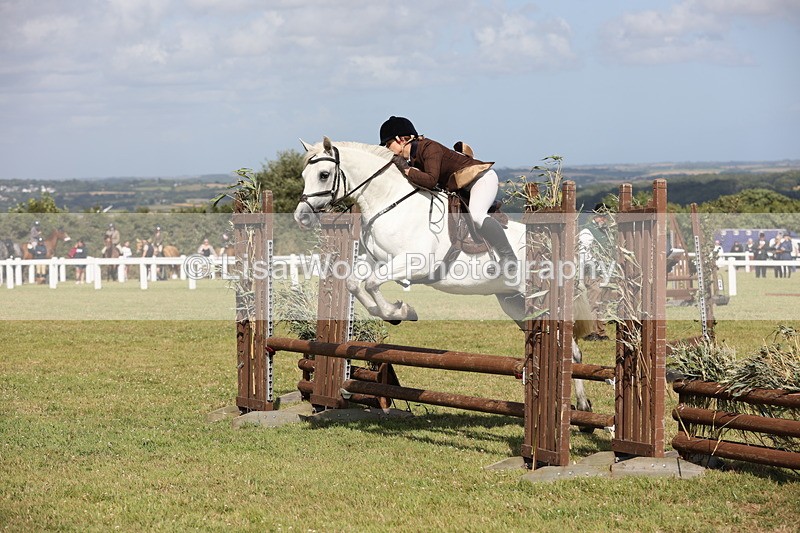 JPP_2568 - Class 20: Working Hunter 70cm