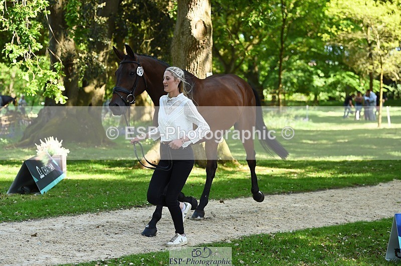 230524-155714-00578 - 205-ARTICUS-Maja_Hullah-WEDTrotUp+DR