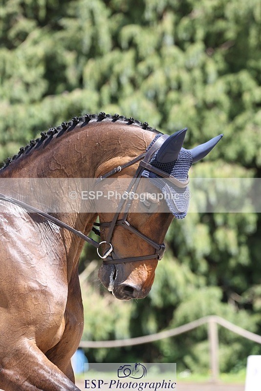 230526-135528-06423 - 369-GIDO_G-Sally_Chamberlain-WEDTrotUp+DR