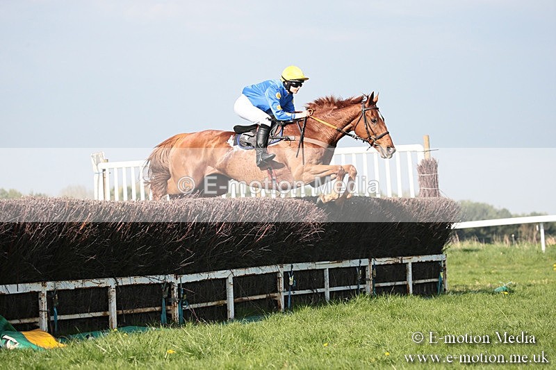 PtP 210418 500 - South & West Wilts Point-to-Point Larkhill 21/04/18