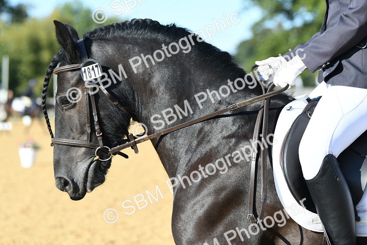 SBM_28453 - D16 - Small Tour Championship - Novice 28