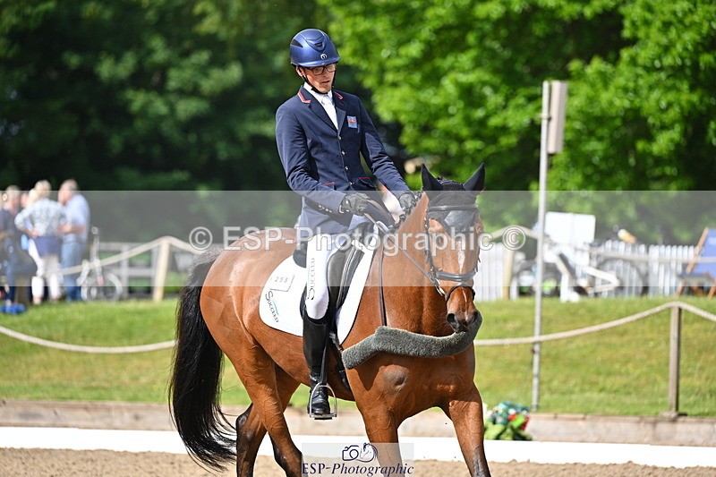 250523A-093943-05296 - C-258-Bill.Levett-ITALIAN.HARLEQUIN.NJ