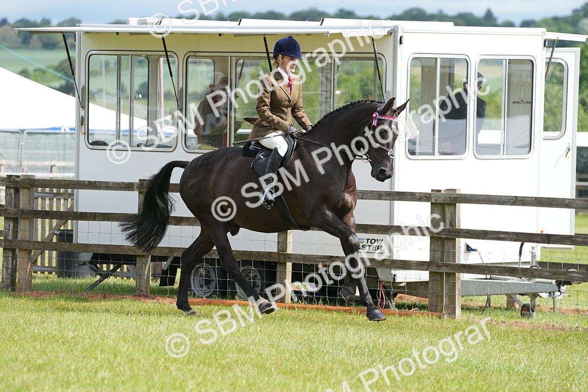 SBM_12919 - Class 99 - RIHS SEIB Working Show Horse