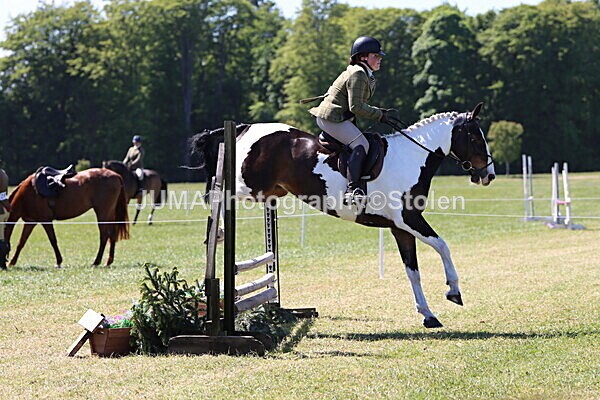 IMG_4089 - Working Hunter