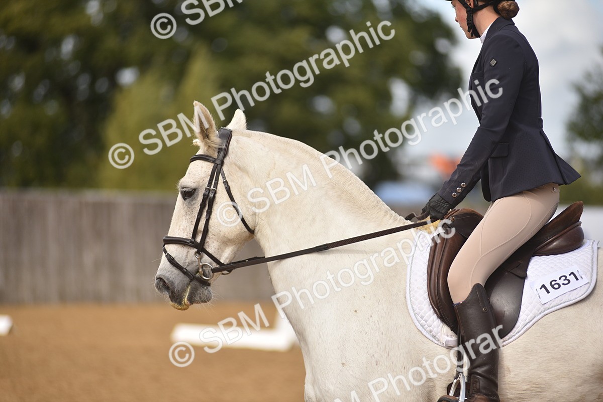 SBM_42323 - D22 - Junior Championship Intro 3