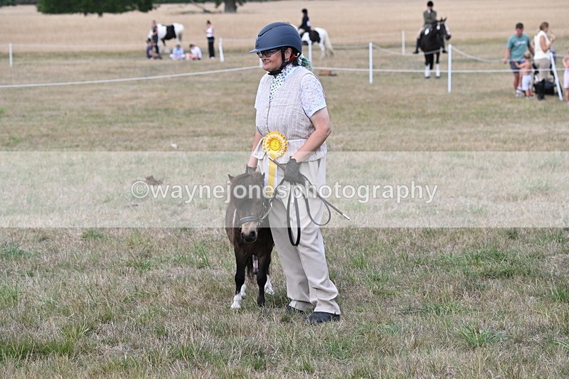 WJ6_7140 - Class 21 Shetland & Mini Horses