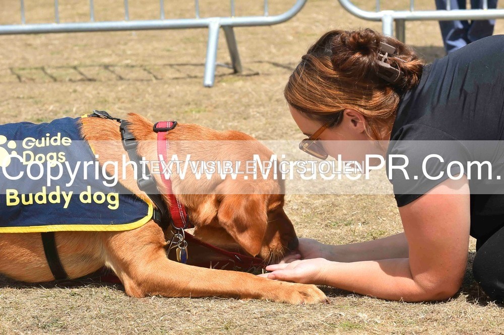 SH4_0236 - Dog show.