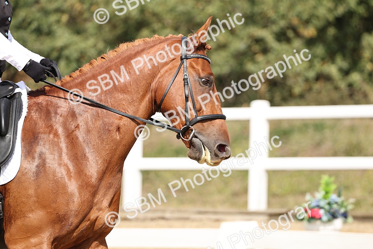 SBM_018369 - Class 16 - Novice 5 - 11.12-12.01