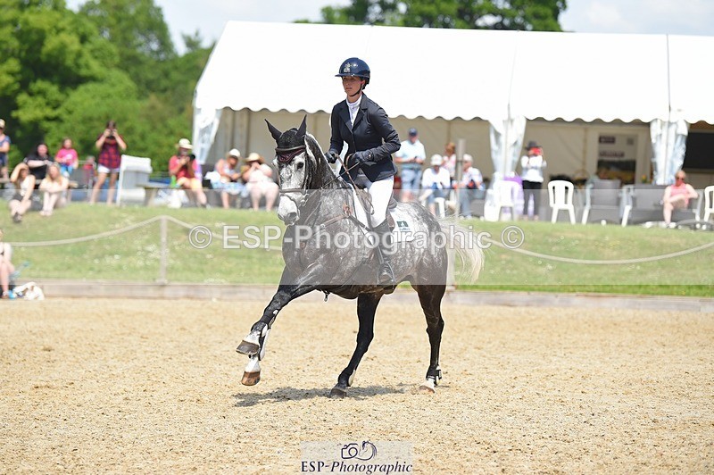 230528-121824-15631 - 311-BALLYCOSKERRY_REGAL_DIAMOND-Hollie_Swain-SUNTrotUp+SJ