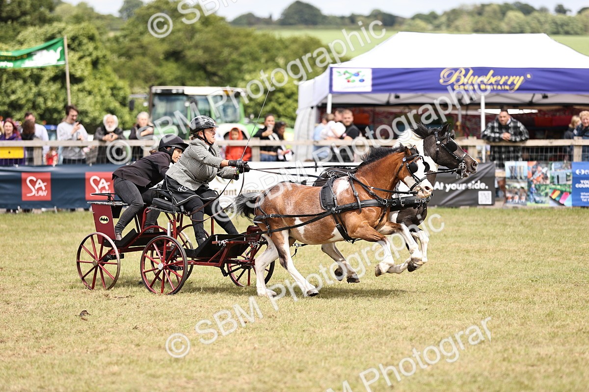 SBM_16033 - Class 91 - Scurry  exceeding 122cms