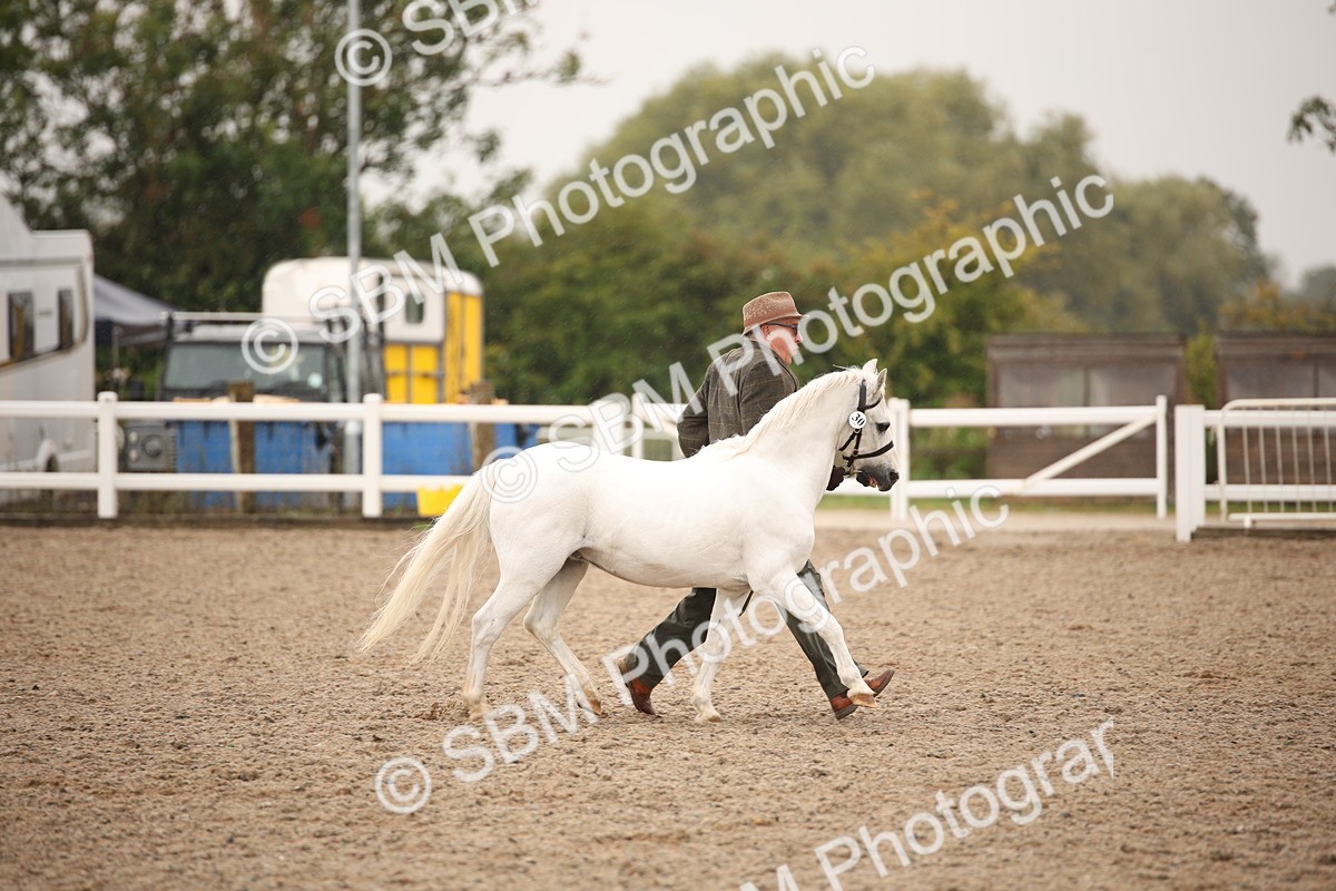 SBM_20708 - Class 705 - IH  Combination 65+