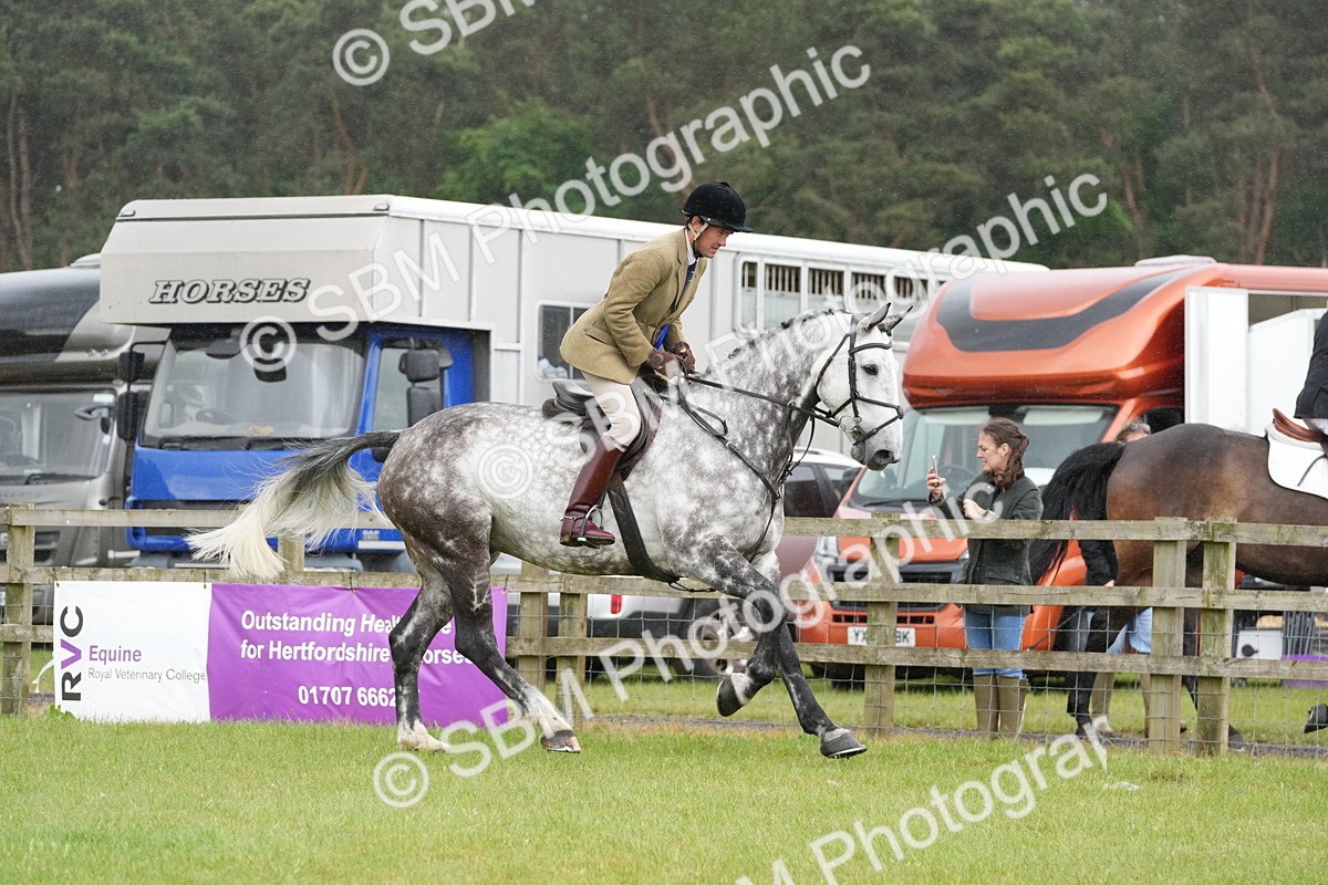 SBM_12823 - Class 97-98 - LIHS BSHA Rising Star Working Show Horse Hunter