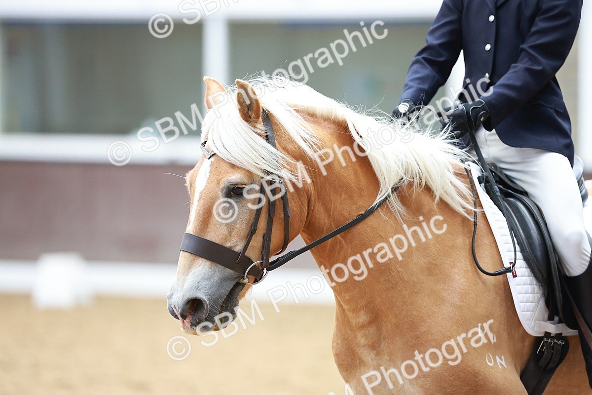 SBM_011393 - Prelim 5 - 13.05-14.01