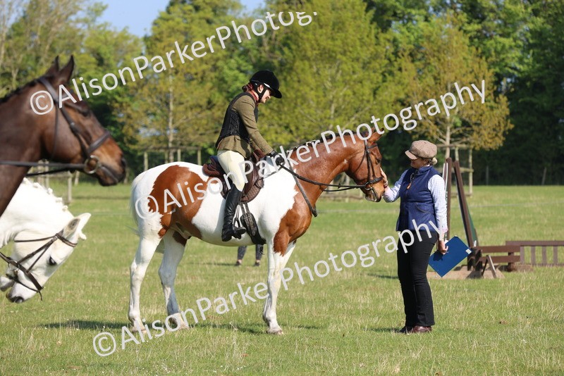 20250427-0570 - Class 17 - Novice Showing