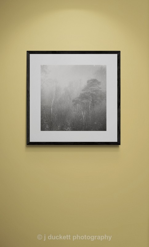  - Woodland Shapes