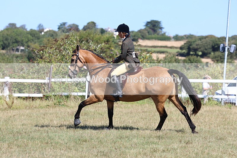 3E7A5831 - Class 5: Working Hunter 90cm