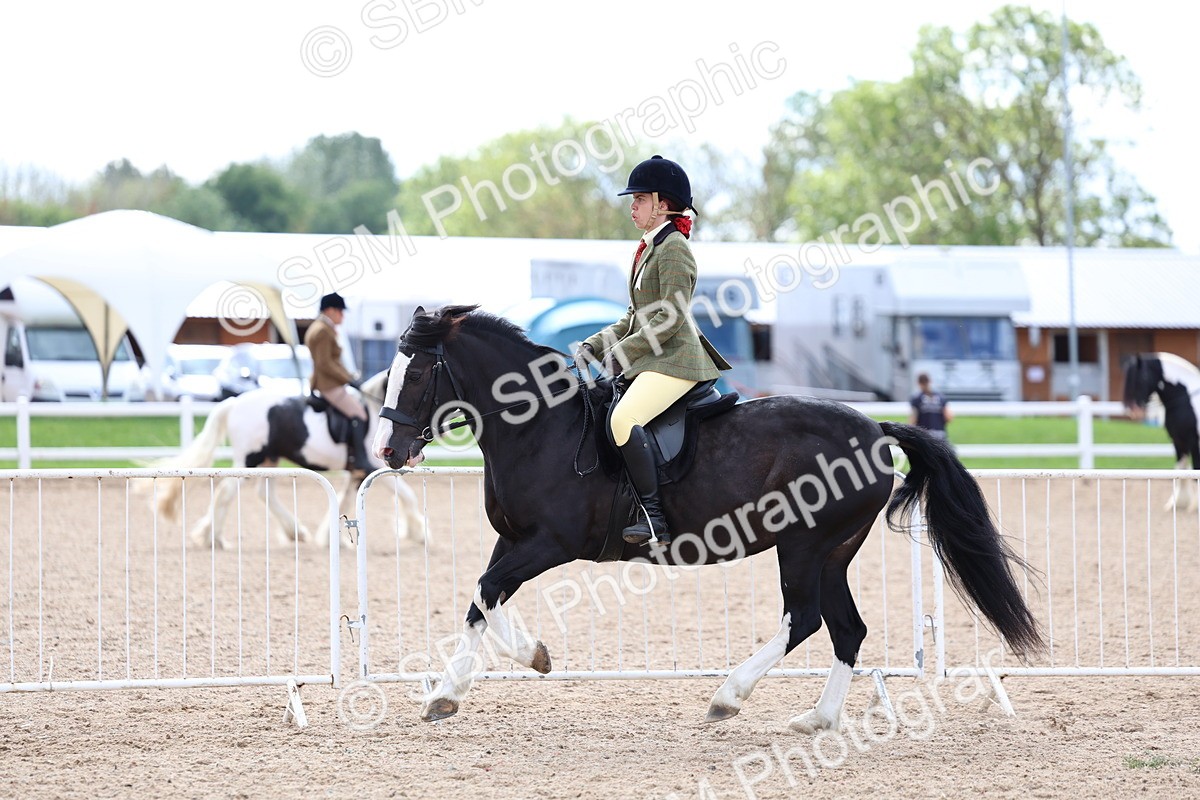 SBM_15807 - Class 314 - Family Horse - Pony