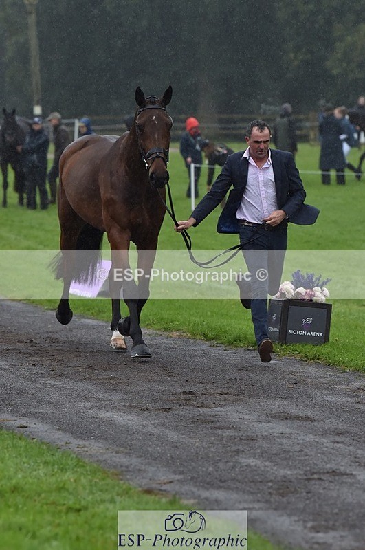 231018-120534-00072 - 008-CECEIA.DE.MUZE-Alan.Nolan-TrotUp