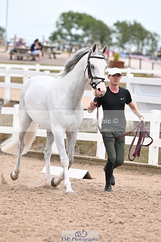 250716-154958-02210 - Trot Up 3.30 to 4.30