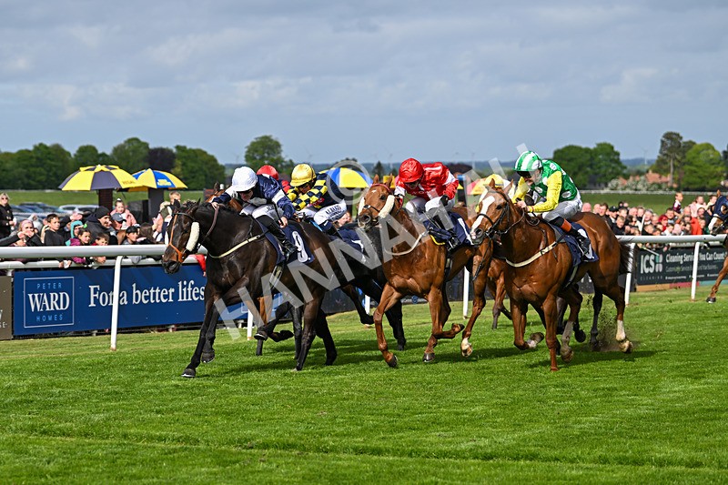 050525-Race 5-Hover On The Wind-4961 - Race 5