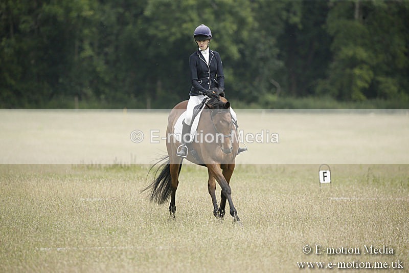 B230619-0401 - Bourne Valley Riding Club Summer Show 23/06/19