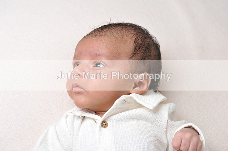 DSC_0987 - Taran