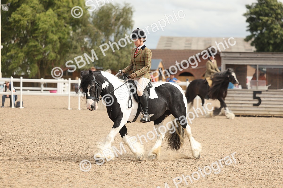 SBM_18004 - Class 314 - Family Horse Pony