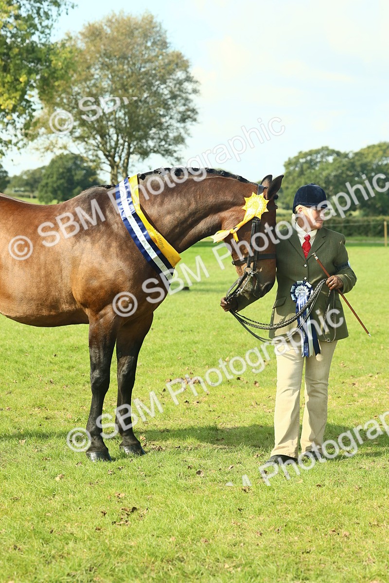 SBM_61153 - Starter Supreme Championship