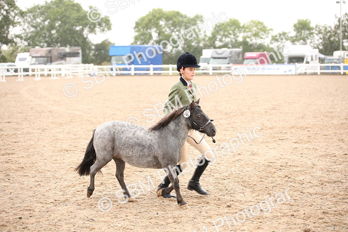 SBM_20251 - Class 704 - IH Rescue