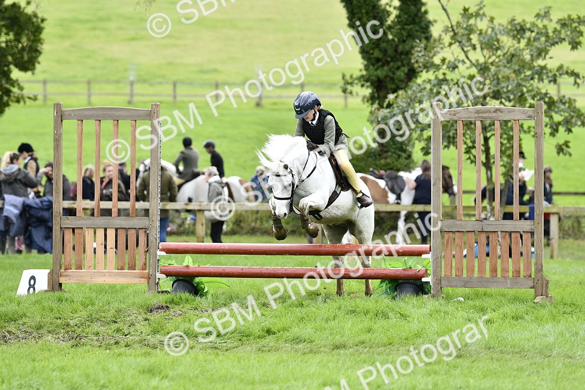 SBM_41288 - S32 - Mountain & Moorland Working Hunter Pony