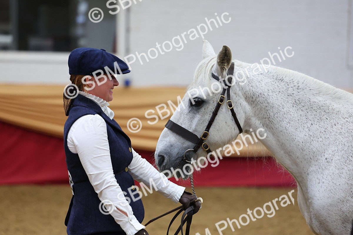 SBM_22851 - Class 903 - Supreme Final - IH Pre Vet