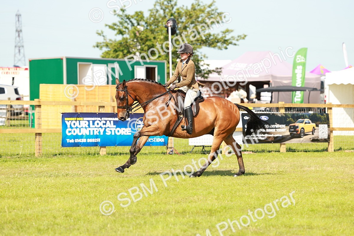 SBM_12051 - Class 66-69 - RIHS Ridden Hunters Inc Small Hunter