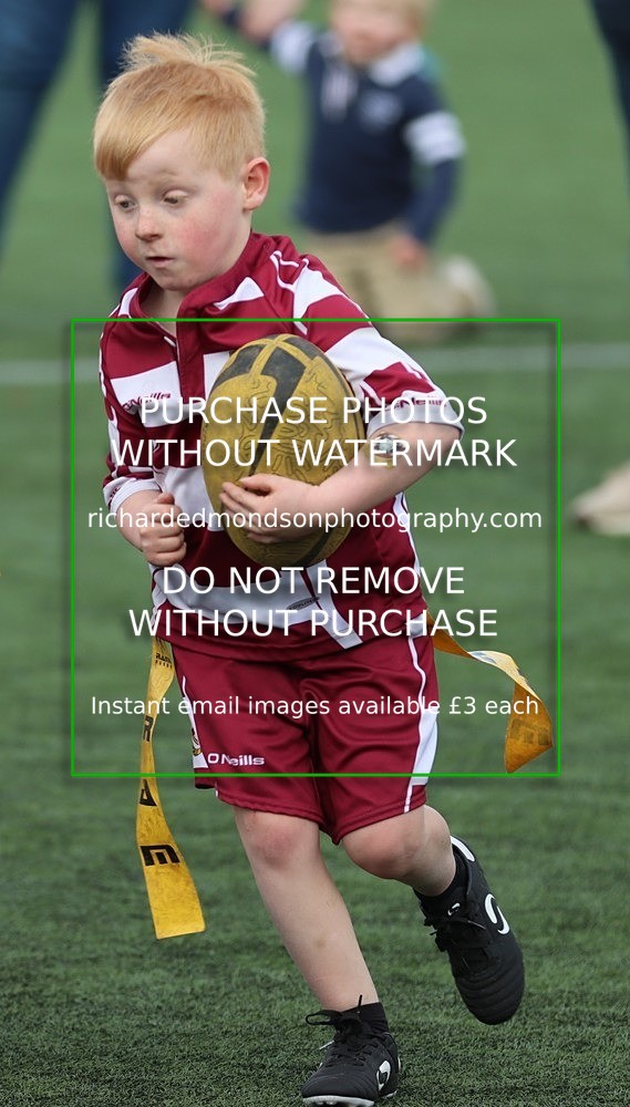 IMG_3036 - Rochdale Rugby Under 7's (27/4/24)