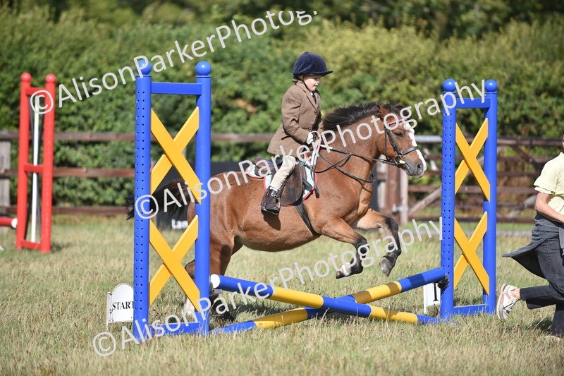 20260906-0988 - Class 7 - Absolute Novice Jumping 35cm