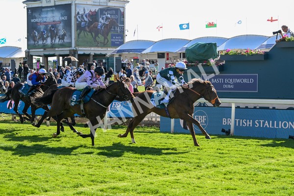 140525-Race 6-Ballistic Missile-2873 - Race 6 4.55pm British Stallion Studs EBF Novice Stakes