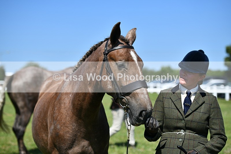 DSC_6800 - Class 57: Hunter/Riding Horse/Hack 1, 2 & 3 yr olds