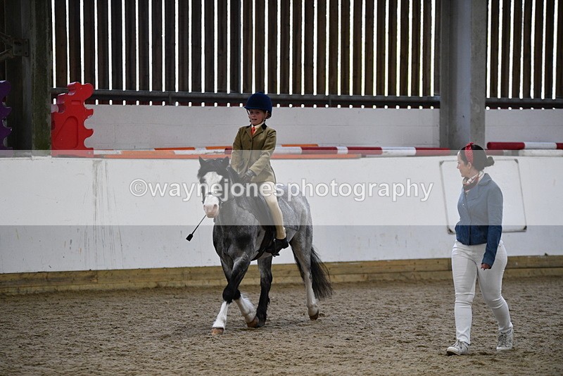 WJ5_6898 - Class 10 Childs Pony