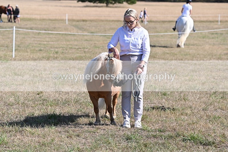 WJ6_7364 - Class 33 Rescue Pony