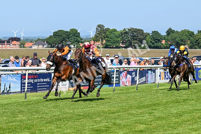 250624-Race 4-Lincoln Rockstar-5626 - Race 4