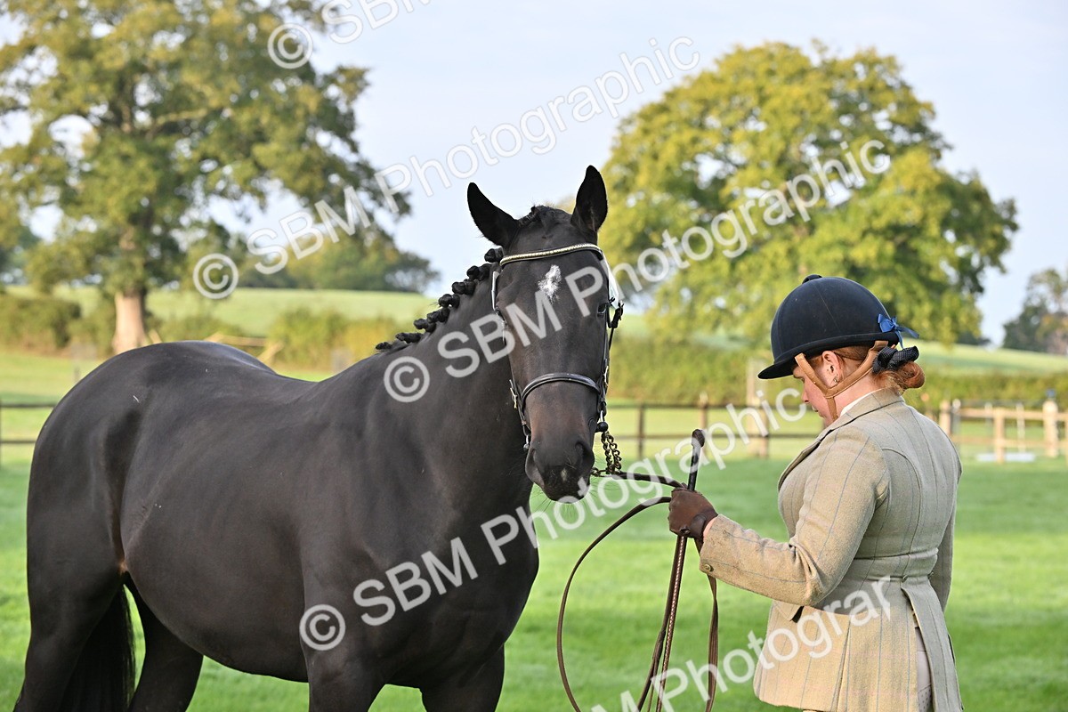 SBM_54617 - S44 - Youngstock In Hand