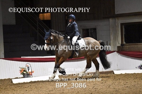 BPP_3086 - ELEM TEST 6